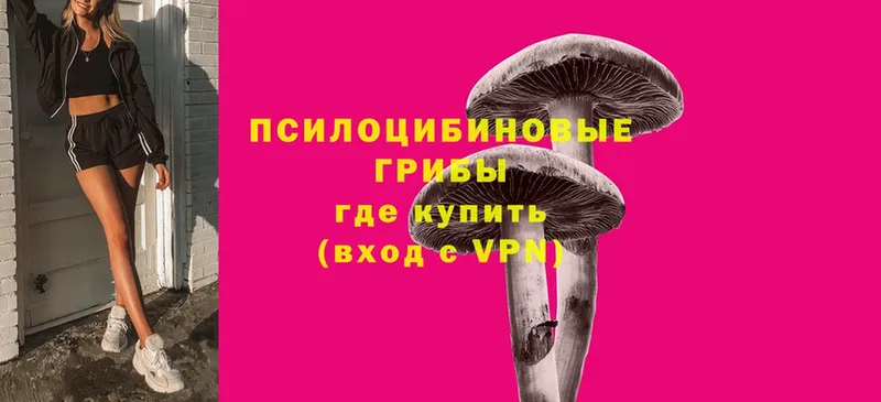 Галлюциногенные грибы Psilocybe  Бокситогорск 